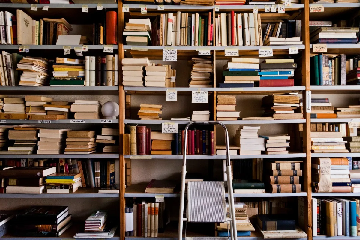 Amazon tritura livros raros pra treinar modelos de IA