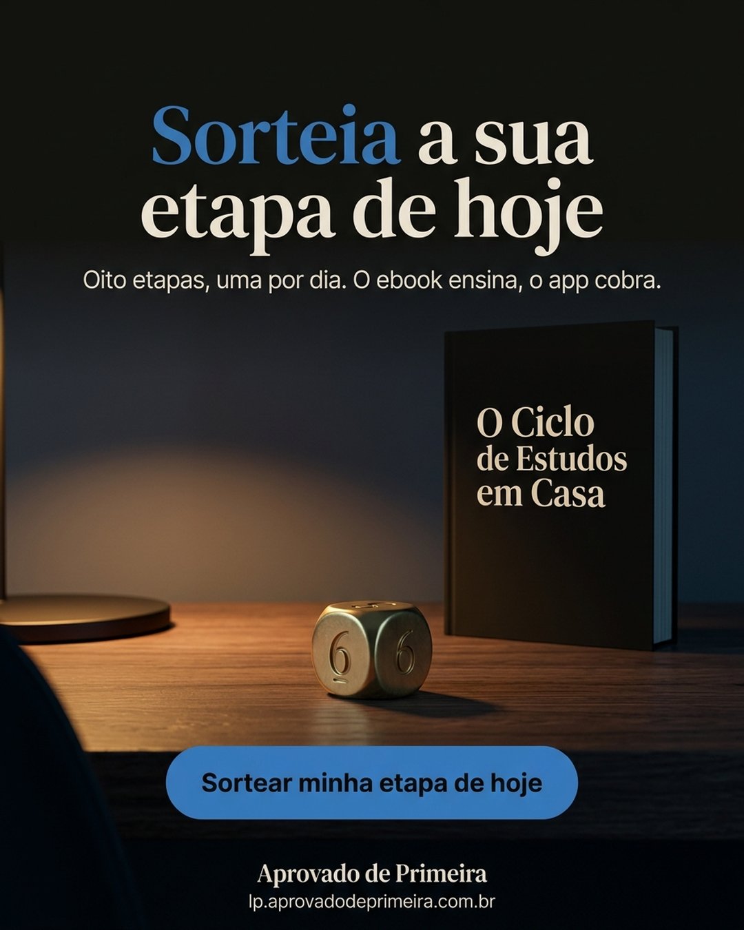 Sorteia a sua etapa de hoje. Oito etapas, uma por dia. O ebook ensina, o app cobra. Sortear minha etapa de hoje.