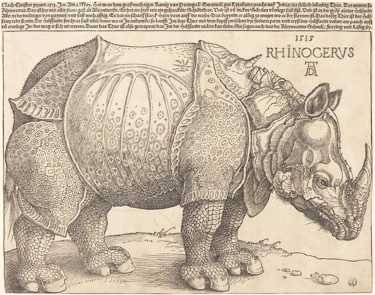O Rinoceronte de Dürer