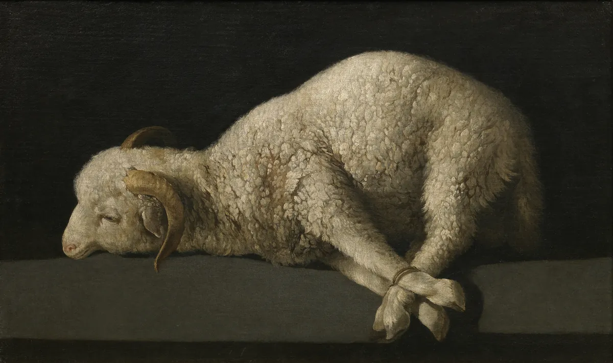 O Agnus Dei de Zurbarán, carneiro amarrado sobre pedra