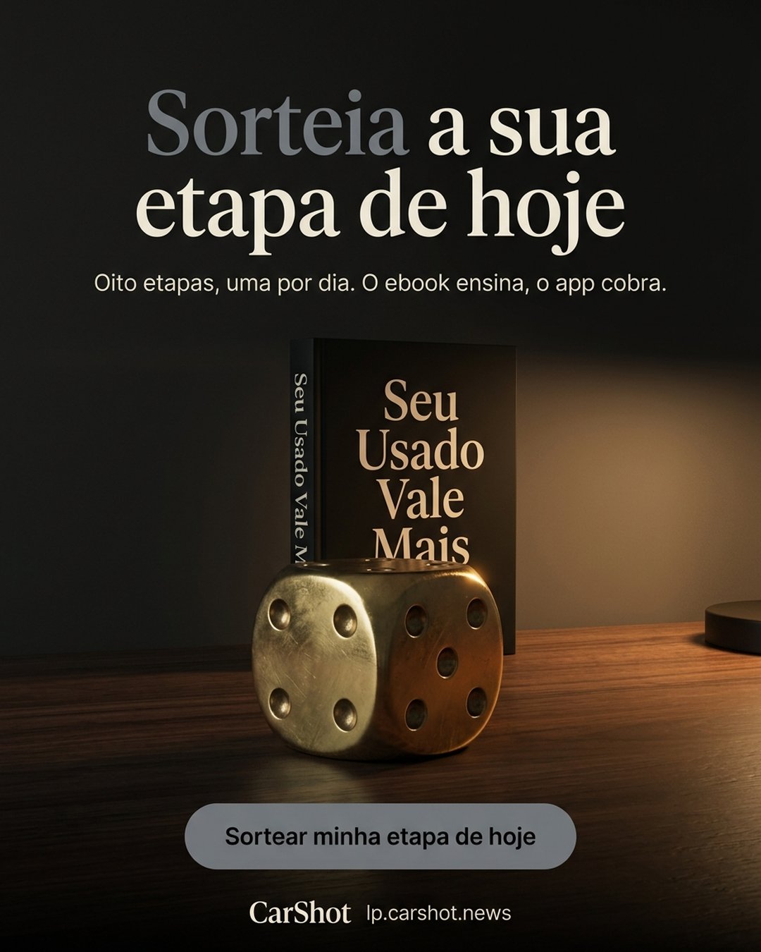 Sorteia a sua etapa de hoje. Oito etapas, uma por dia. O ebook ensina, o app cobra. Sortear minha etapa de hoje.