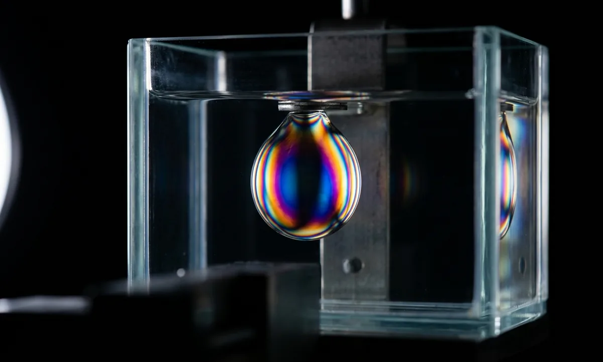 Gota de vidro transparente em formato de girino, cabeça arredondada e cauda longa e fina, sobre superfície escura com luz lateral