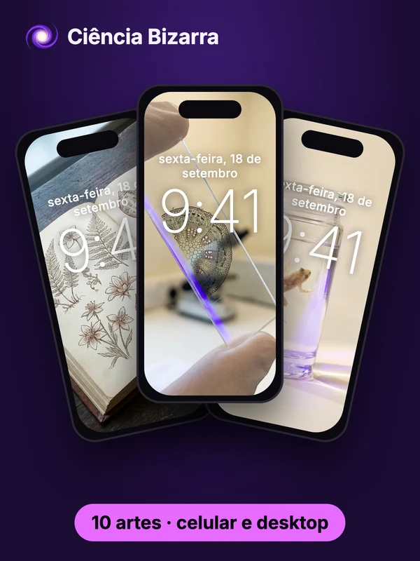Pack de wallpapers