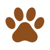 Diário do Cão