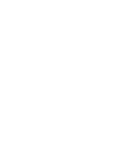 Filosofia do Dia