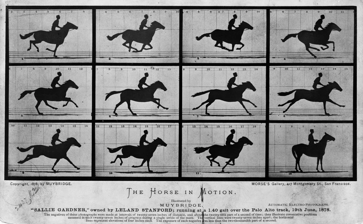 Sequência de quadros de um cavalo a galope na pista de Palo Alto em 1878, com um dos quadros mostrando os quatro cascos no ar.