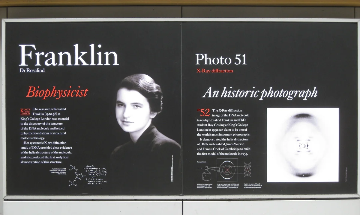 Placa dedicada a Rosalind Franklin com a reprodução da fotografia 51, o padrão de difração de raios X do DNA registrado em 1952.