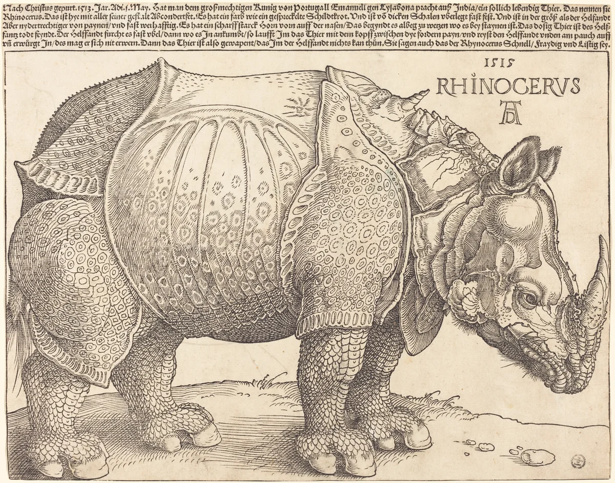 Xilogravura Rhinocerus, de Albrecht Dürer, impressa em Nuremberg em 1515, mostrando um rinoceronte indiano coberto de placas rebitadas e um segundo chifre torcido sobre a cernelha.