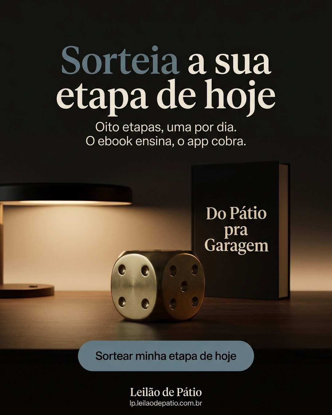 Sorteia a sua etapa de hoje. Oito etapas, uma por dia. O ebook ensina, o app cobra. Sortear minha etapa de hoje.