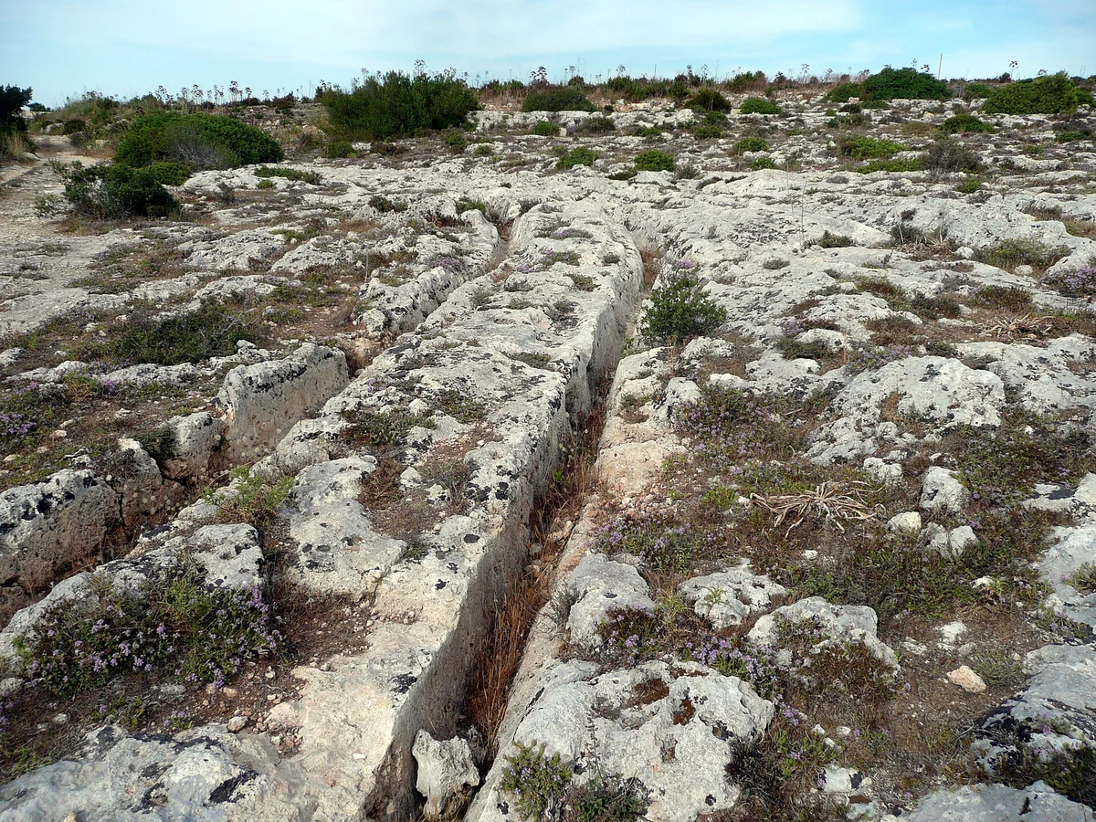 O planalto de calcário a oeste de Siġġiewi, em Malta, onde pares de sulcos cavados na rocha se cruzam em dezenas de direções.