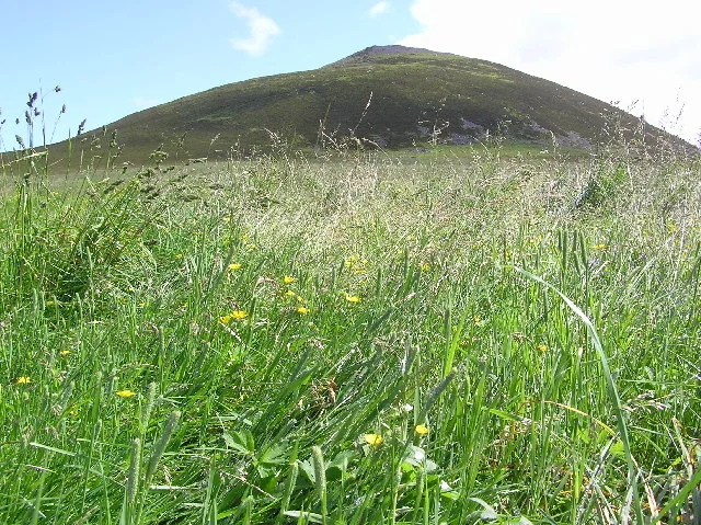 O anel de muralha vitrificada no topo de Tap o' Noth, colina de Aberdeenshire, com a pedra fundida e soldada em massa escura.