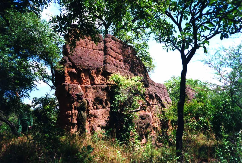 Um trecho da vala do Eredo de Sungbo, perto de Ijebu-Ode, com as paredes de terra vermelha cobertas pela mata.