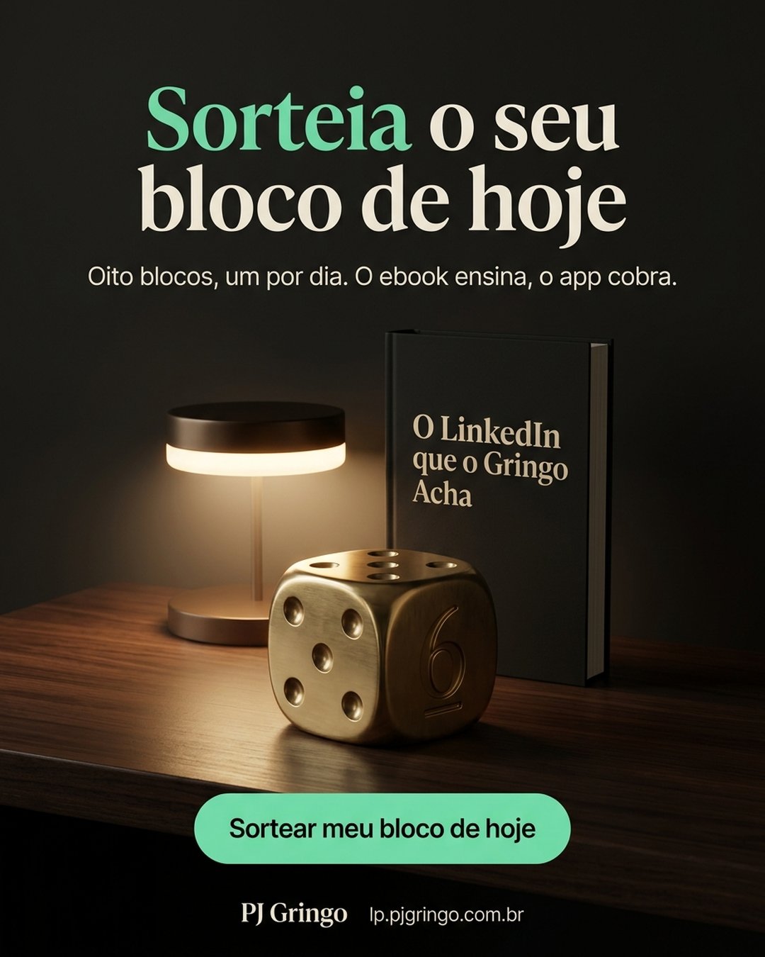 Sorteia o seu bloco de hoje. Oito blocos, um por dia. O ebook ensina, o app cobra. Sortear meu bloco de hoje.