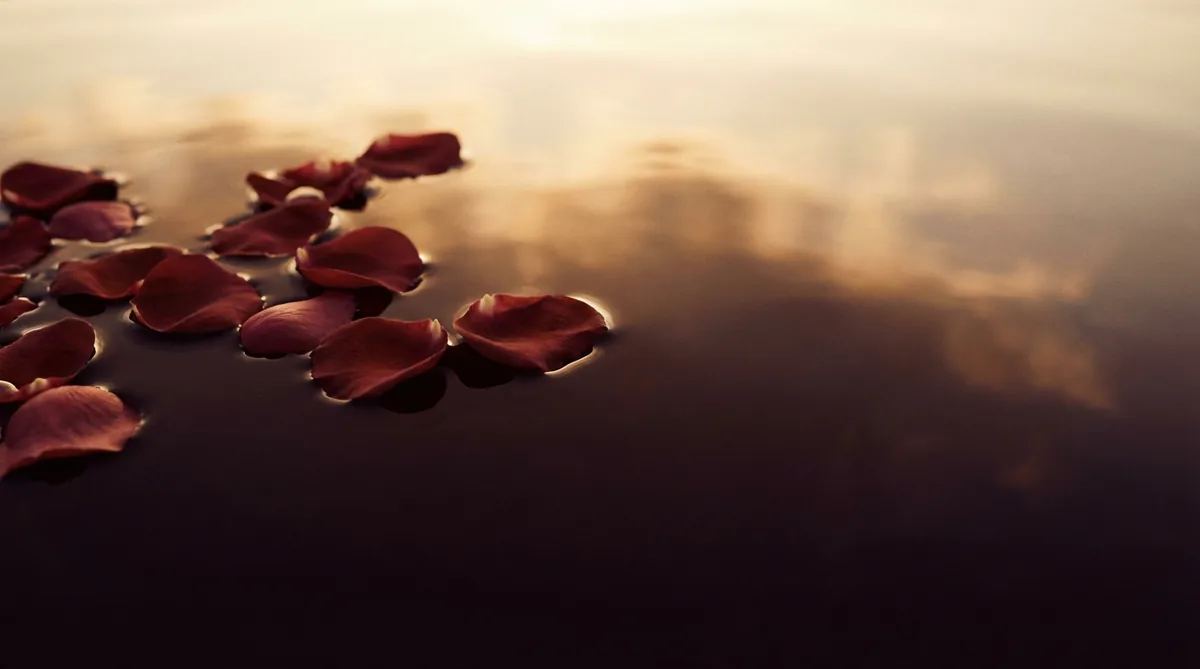 Mãos femininas abertas em concha recebendo uma única flor delicada que cai sobre as palmas.