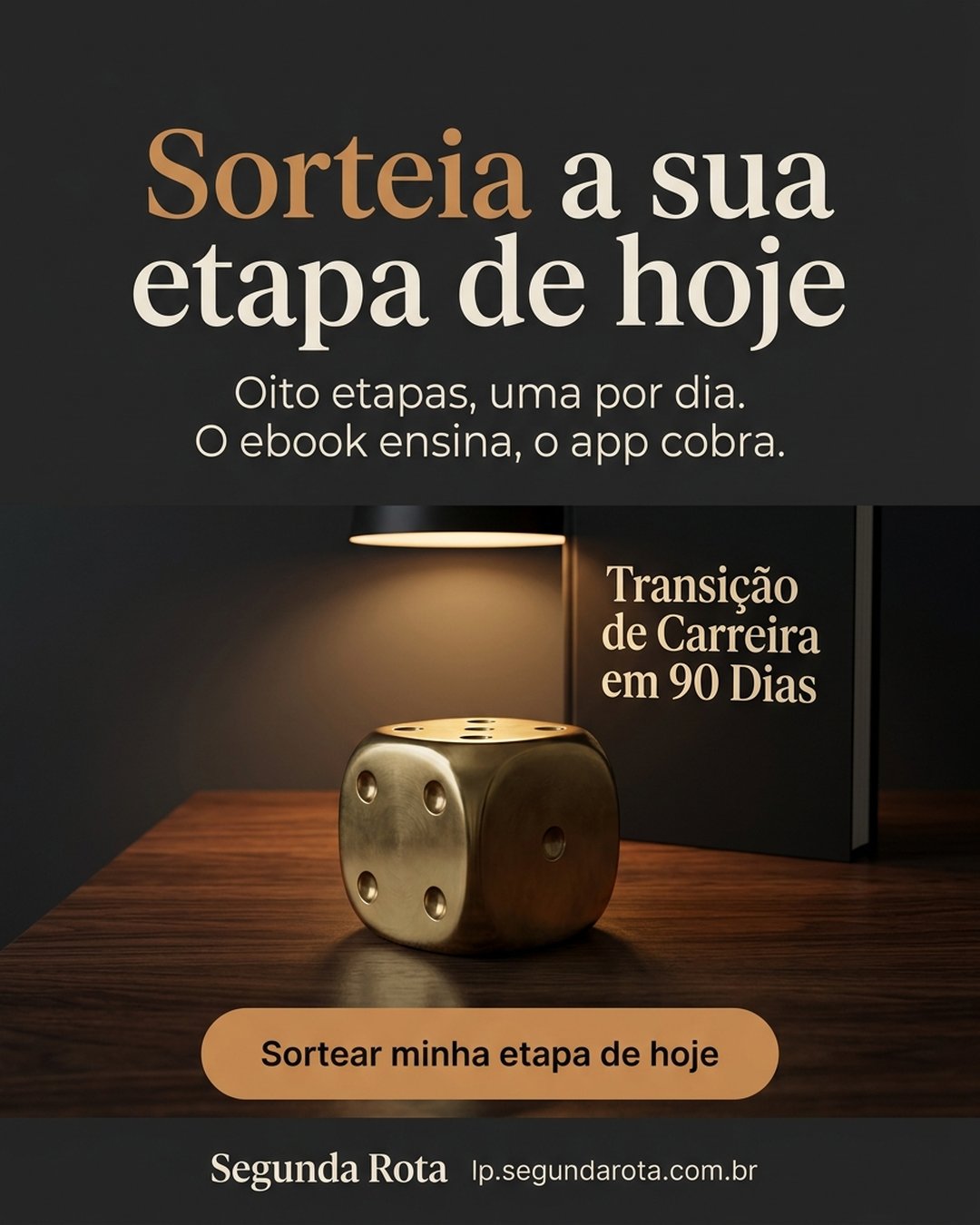 Sorteia a sua etapa de hoje. Oito etapas, uma por dia. O ebook ensina, o app cobra. Sortear minha etapa de hoje.