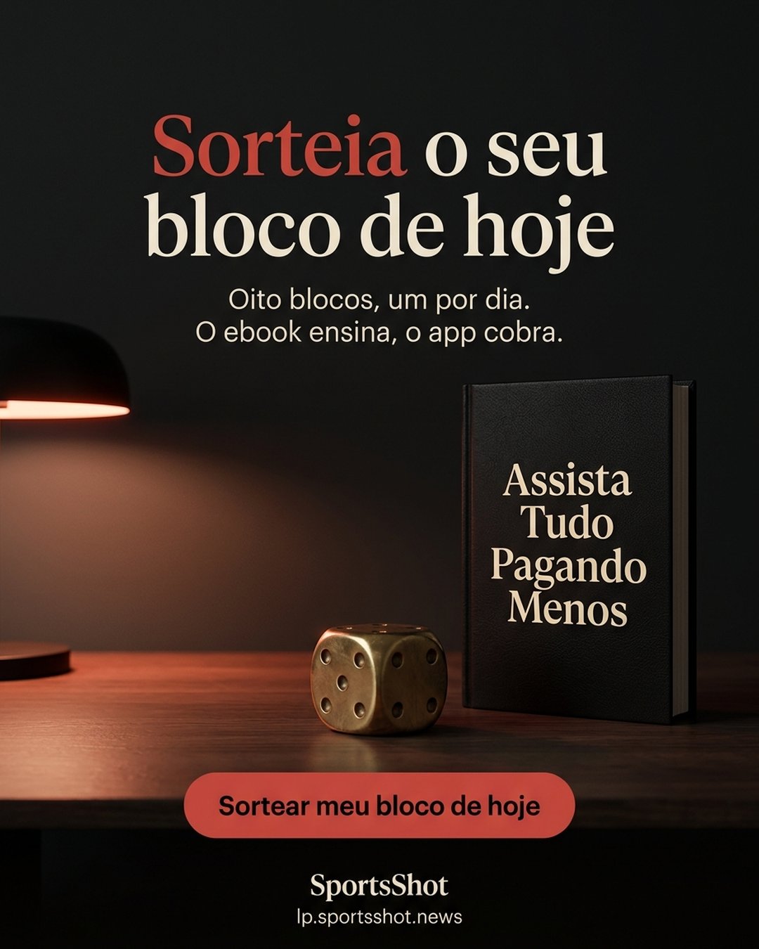 Sorteia o seu bloco de hoje. Oito blocos, um por dia. O ebook ensina, o app cobra. Sortear meu bloco de hoje.
