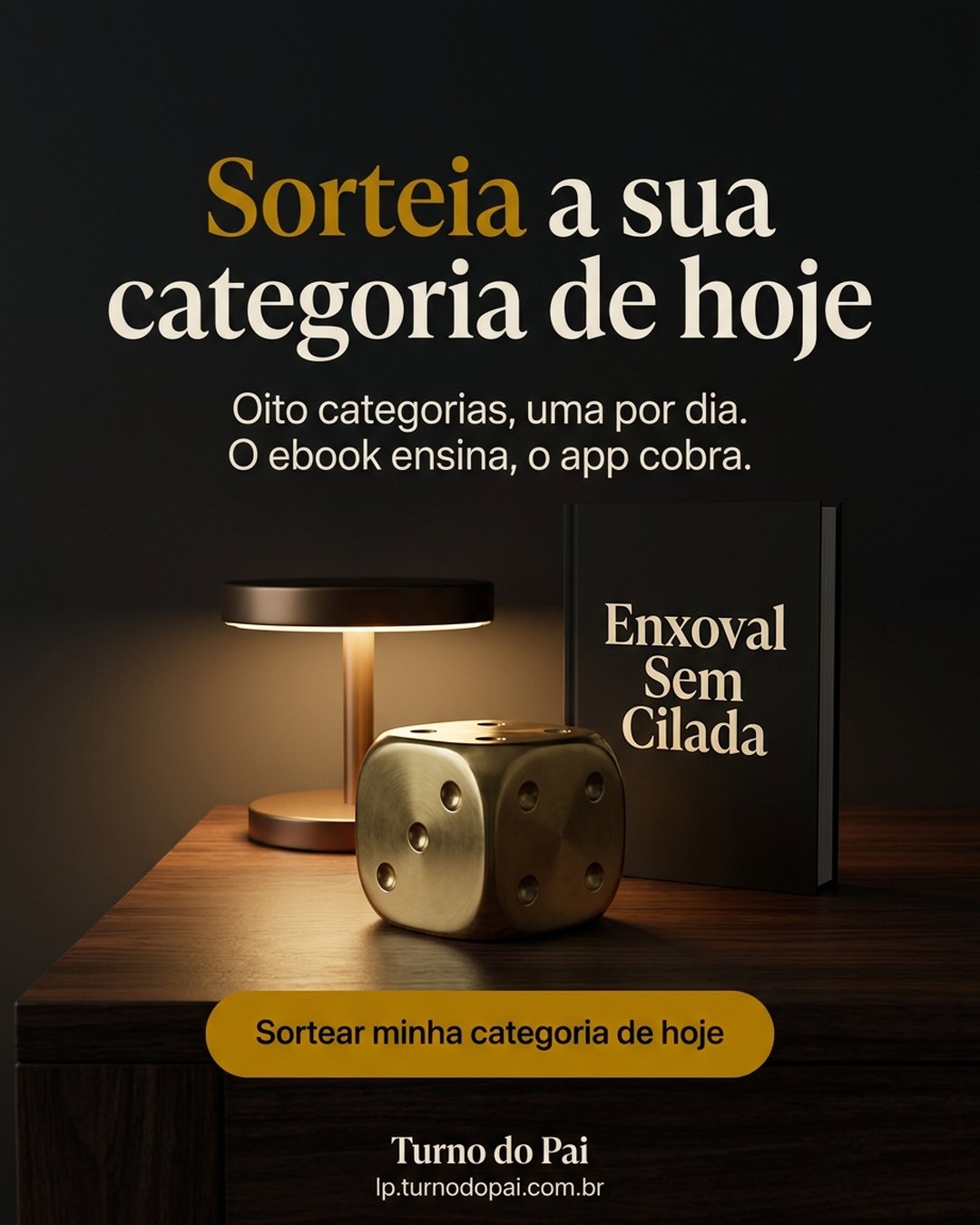 Sorteia a sua categoria de hoje. Oito categorias, uma por dia. O ebook ensina, o app cobra. Sortear minha categoria de hoje.